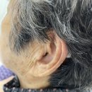 성북푸른보청기 이미지