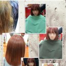 헤어톡 Daum카페