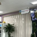 동내마을 | 강릉사천물회마을 사천물회전문 내돈내산 찐후기