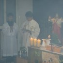 사르넬리 이미지