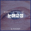 성모라인성형외과의원 이미지