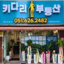 못골공인중개사사무소 이미지