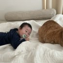 왕소아과의원 이미지