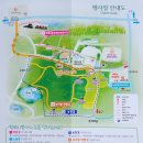 선운사의추억 | 전북 고창 선운사) 고창청보리밭축제 폭싹 속았수다, 도깨비 촬영지 유채꽃 만발~