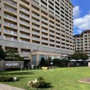 골드애견 이미지