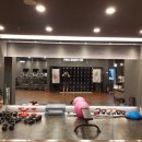 프로바디핏 이미지