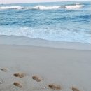 [서부] 수채일러스트 이미지