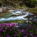 잠원동070 이미지