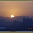 달맞이봉(공원) 이미지