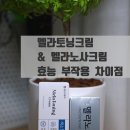 탑미래약국 이미지