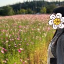 남동문화체육광장(2호) 이미지