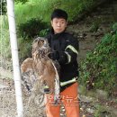 골망