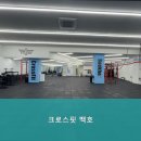 크로스핏 백호 | 완벽한 크로스핏 안양시 크로스핏 백호 운동능력 향상 보장