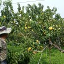 감당농장 이미지