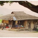 월산주막 이미지