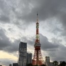호텔뷰(VIEW) | [도쿄 호텔] 렘 롯폰기 호텔 타워뷰 후기 remm roppongi tower view