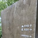 설지 - 50225 | 설지