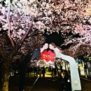 꽃보라동산 이미지