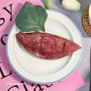 양주식당 Daum카페