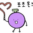보라마켓