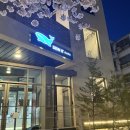 듀잇(DEW IT) 이미지