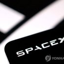 135 연합뉴스TV
