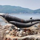 해향민박 이미지