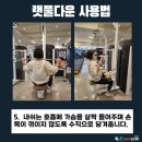 이지피티 이미지