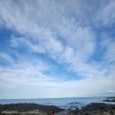 씨유제주제성마을점 | 제주도여행 3일차 함덕해수욕장 문개항아리함덕점 스위스마을 육계절 제주오렌지마사지