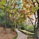 LG자이공인중개사사무소 이미지