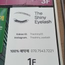 더샤이니아이래쉬