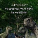 백수 6개월차..왜 너도 내가 우스워?