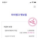 펫뱅크 이미지