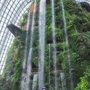 클라우드 포레스트, Cloud Forest ( 2022년 6월 22일, 수 ) 이미지