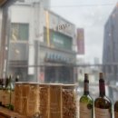 모힝 비스트로 이미지