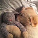 궁전파크 이미지