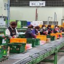 충주거점산지유통센터 이미지