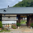 한옥민박 | [영월] 꽃피는무릉도원 :: 무릉도원에서의 휴식🌳