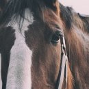 one스크린연습장 이미지