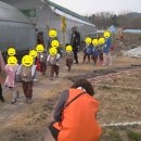 문의초교 병설유치원 이미지