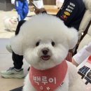 파인드프로덕트