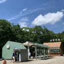 송진목장 이미지