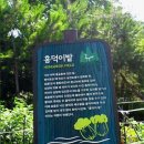 ♧낙산공원 성곽길♧1 이미지