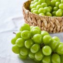 한송농장 이미지