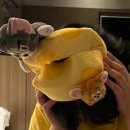 소은여행사 | 누가 요즘 지구평평설 믿음? 나는 대만망고설 믿는다. - 대만여행기 3 (240709~240712)