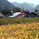 고랑정미소 이미지