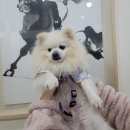 건지도서관 이미지