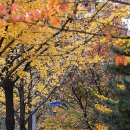 만수4동-9 이미지