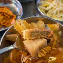 악바리호프소주 | [쏭슐랭가이드][영통찌개지존] 수원 호매실 김치찌개 찐탱 단골 맛집 내돈내산 후기