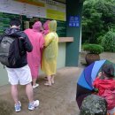 천년비자 이미지